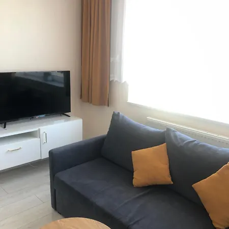 Maja נובי טארג